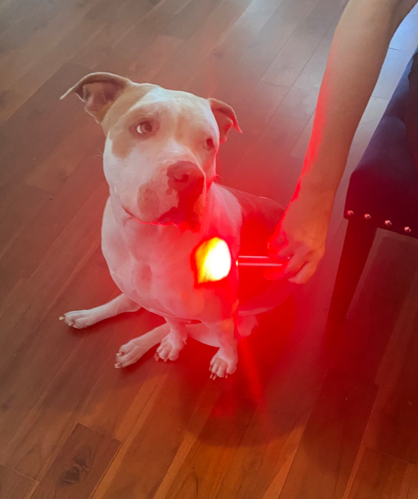 BPSB Laser Light Wand